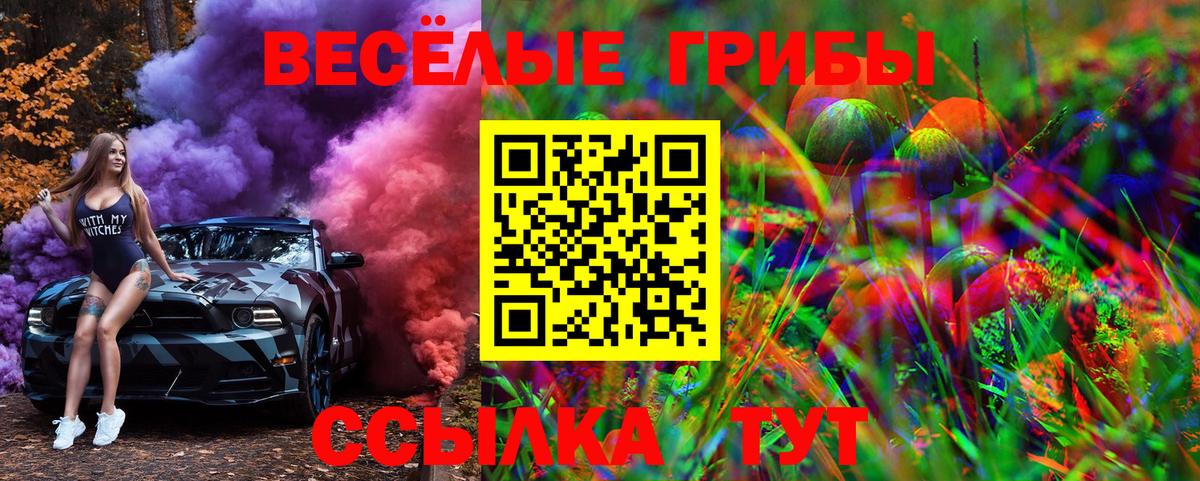 Галлюциногенные грибы GOLDEN TEACHER  Вход с VPN  где купить наркоту  Калуга  Галлюциногенные грибы GOLDEN TEACHER 