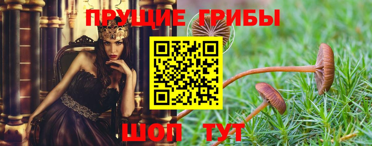 Псилоцибиновые грибы Magic Shrooms Калуга